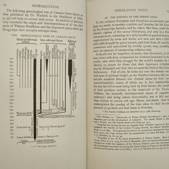 Tibets Great Yogi Milarepa Edited by W.Y. Evans-Wentz Oxford University Press 19 - Picture 11 of 15